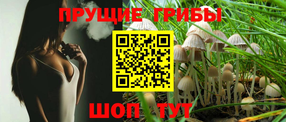 Псилоцибиновые грибы Magic Shrooms Кузнецк